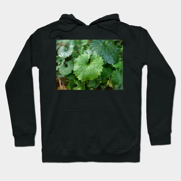 Green leaf look like dinosaur Hoodie by fantastic-designs